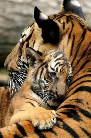 motherslove032522.jpg
