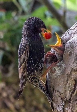 motherslove032322.jpg