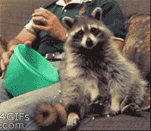 tumblr_n1m9rgn3qo1s6zbano1_250.gif
