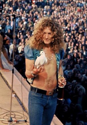 robert plant.jpg