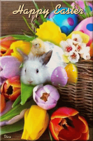 b298a2bb484d650f1290cb9a81009283[1].gif