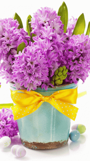 5b0cd46c69db840b0ad2b9c7642eae52[1].gif