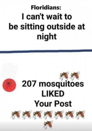 6886FA01-1810-43D5-B60B-8E7A5EDDF138.jpeg