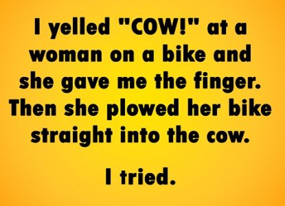 cow.jpg