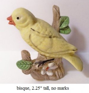 bird4.jpg