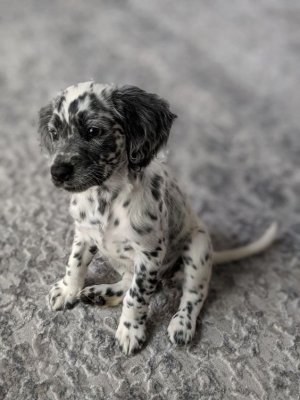 jpg-format-16481790601964617680tumblr1c3f1c6f74e1a7e88831dc210080bd0136b27781640.jpg