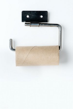 toilet tissue.jpg