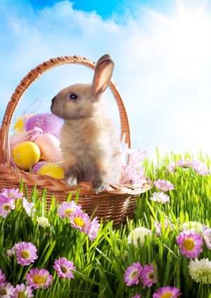 easter-bunny.jpg