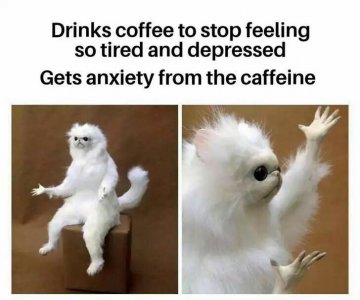 282d03db19e759ee3529db0e6fd8a6ac.jpg