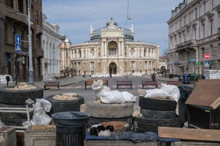 odessa.jpg