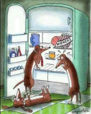 FB_IMG_1648245716449.jpg