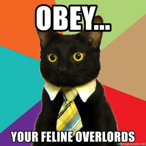 obey-your-feline-overlords.jpg