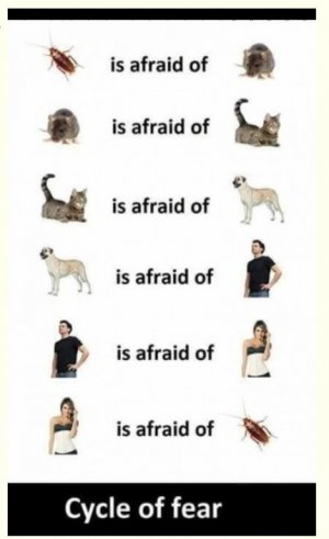 Fear..jpg