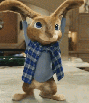 2a0994e72b299256c64e5c449dc7e9c4[1].gif