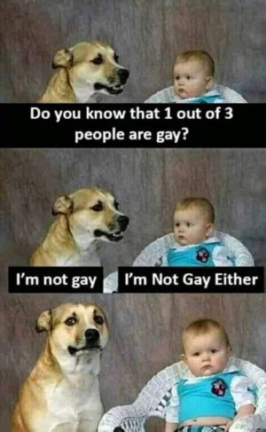 GayDog.jpg