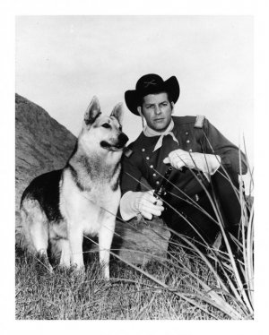 Rin tin tin.jpg