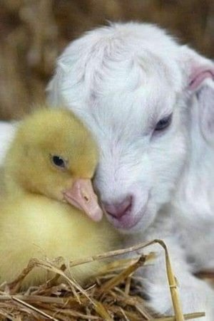 friendship032722.jpg