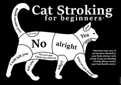 CatStroking.jpg