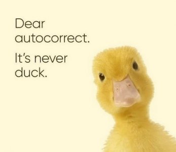 autocorrect.jpg
