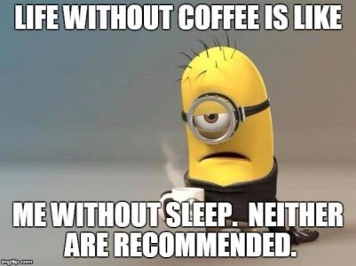 E04BF648-73E2-4EBB-A259-7D396AF41E63.jpeg