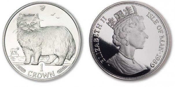 Manx coin.jpg