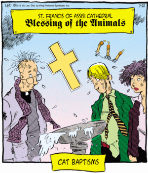 cat baptism.gif