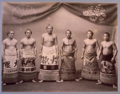 sumo.jpg