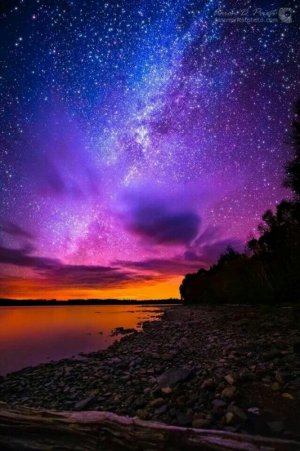 purp beach sf 1.jpg