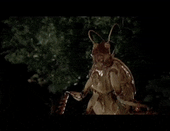 GraciousIckyHind-max-1mb.gif