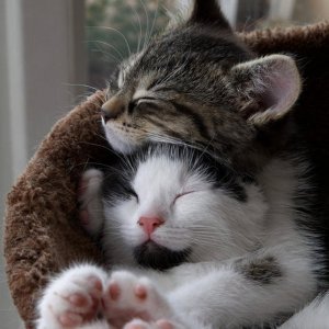 friendship033122.jpg
