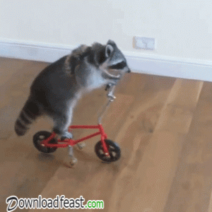 jugy5e6k09401.gif