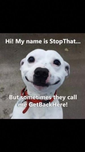 702E2F4C-5DFB-419B-842E-8304F9BE3A7A.jpeg