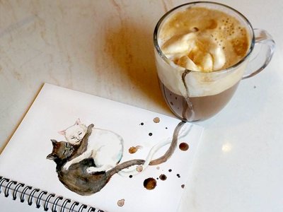 Ice-cream-Coffee-Cat-800x600.jpg