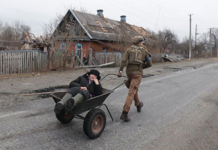 wheelbarrow.jpg