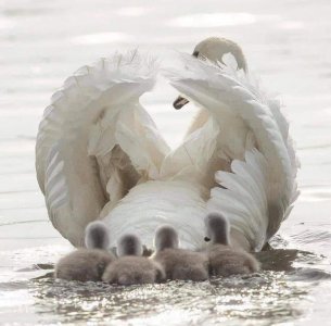 motherslove040122.jpg