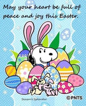 247b7be580a6e07bd6c79653b90e9d31[1].jpg