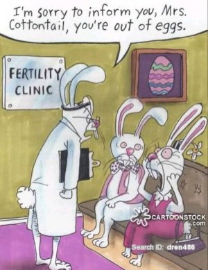 a86e96f81aeb755719529e97d38cf866[1].jpg