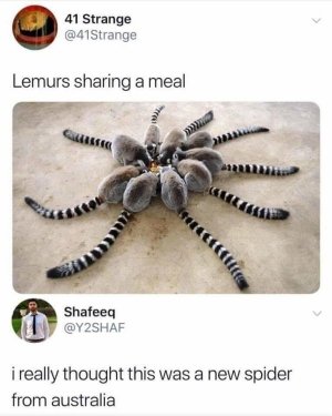 random-funny-pictures-8-1.jpg