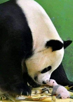 motherslove033122.jpg