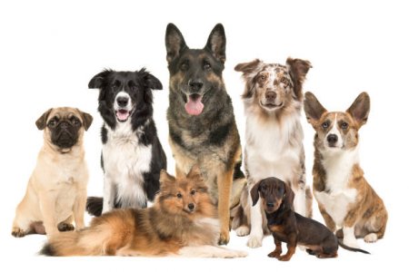 istockphoto-1278389684-612x612.jpg istockphoto-1278389684-612x612.jpg