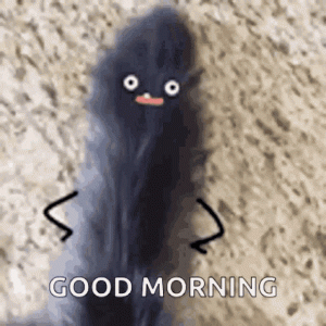 giphy2.gif
