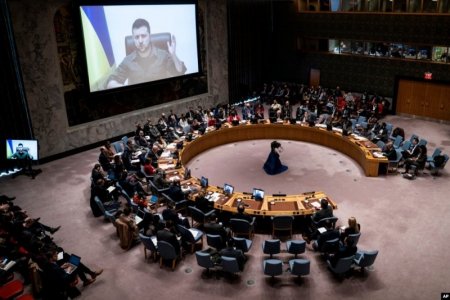 UN conference.jpg