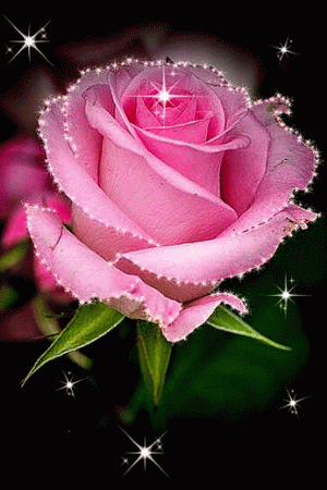 ورد-gif-1.gif