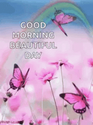 good-morning-beautiful-day.gif