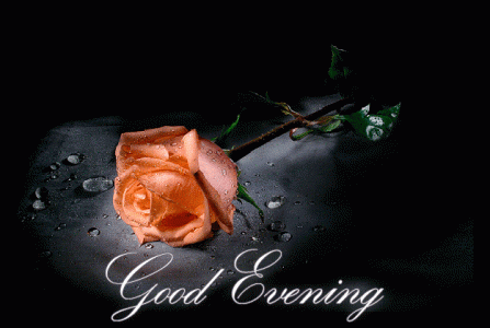 good-evening-17 (1).gif