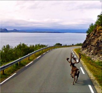 Rv888-Norway-2010--019.jpg