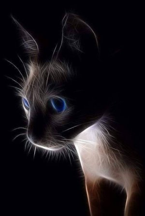 tumblr_8bd86ae658c3834b09a690307d7072ae_4720be9c_500.jpg