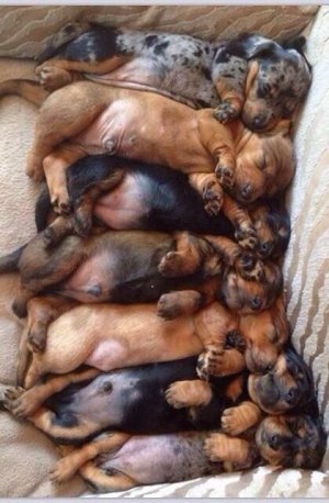 Togetherness……_.jpeg