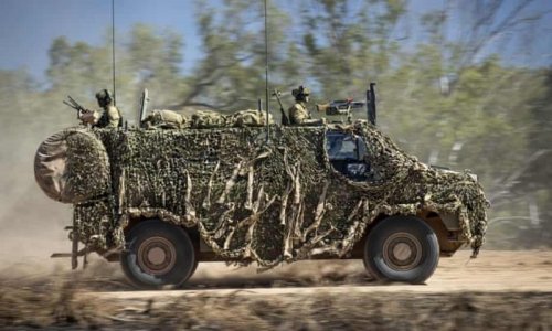 bushmaster.jpg