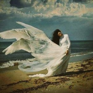 angel beach morn 4 fb.jpg